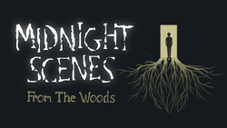 Midnight Scenes: From the Woods