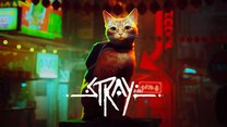 Stray