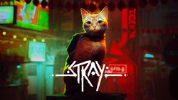 Stray